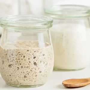 20250624221000-sourdough_starter_08c02ebc-dca8-485d-99e2-a5e19273e5ee