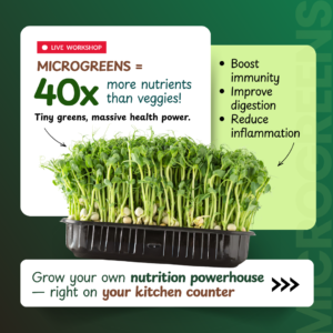 Grow Superfoods Microgreens at Home