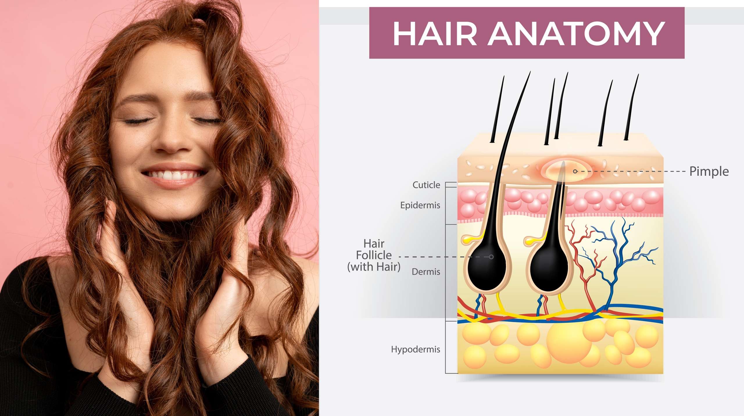 Natural Skin & Hair Care LIVE Program - Image 3