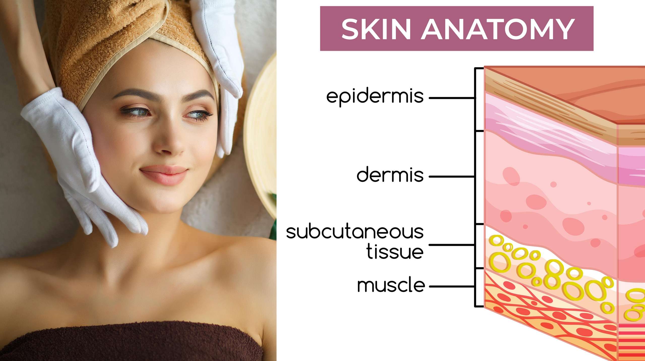 Natural Skin & Hair Care LIVE Program - Image 2