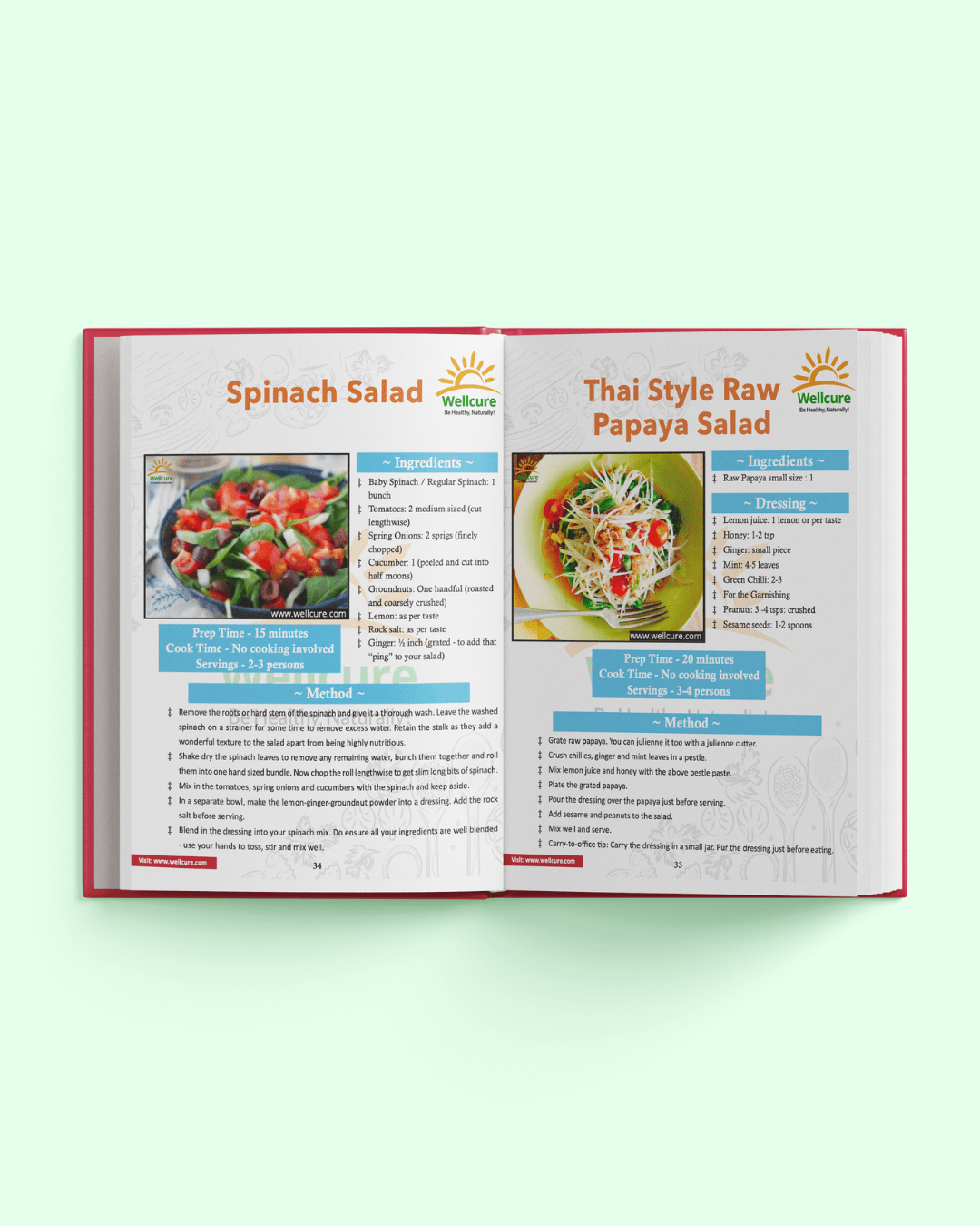 The Healing Sprouts & Salads Recipe Book - Image 4
