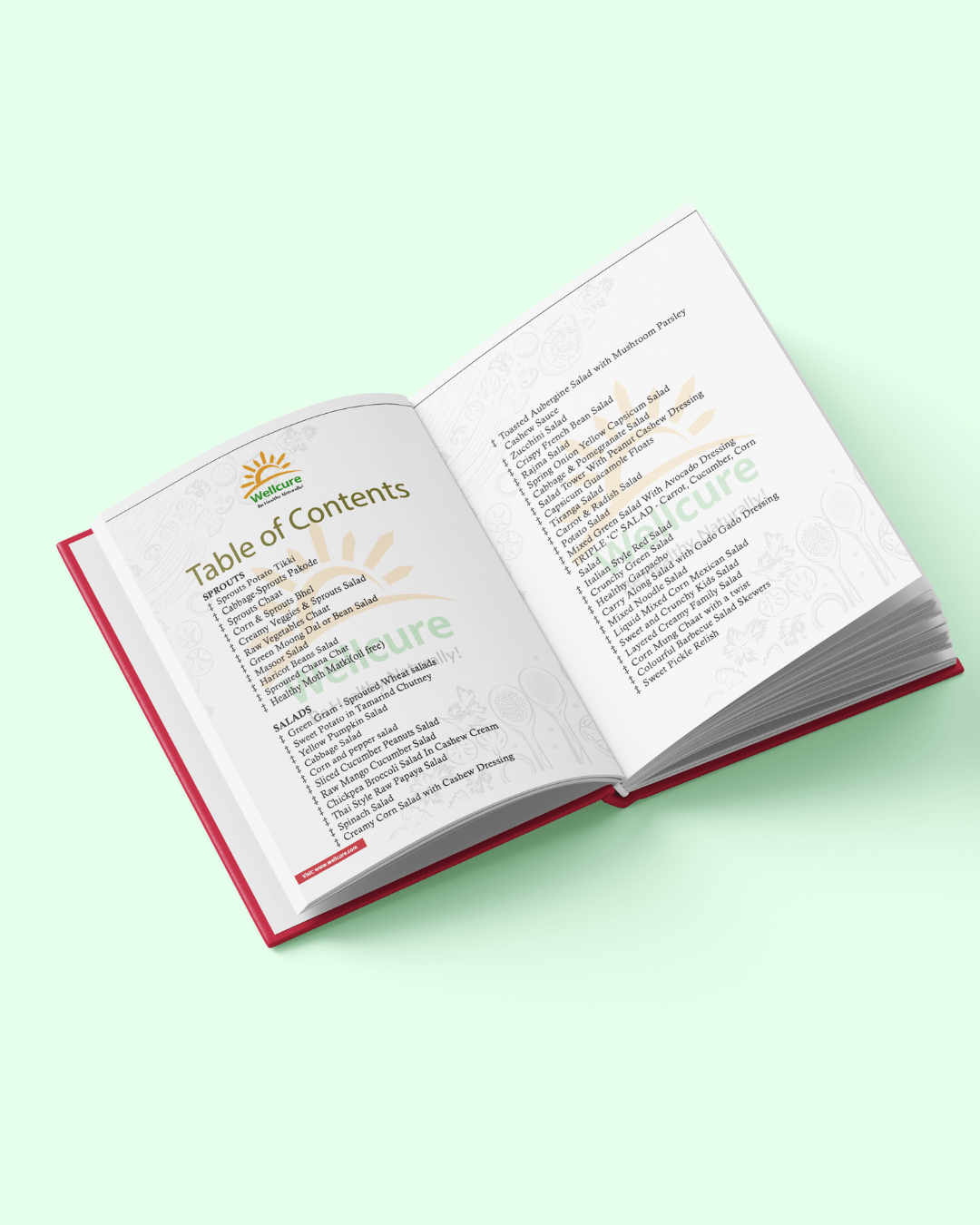 The Healing Sprouts & Salads Recipe Book - Image 2
