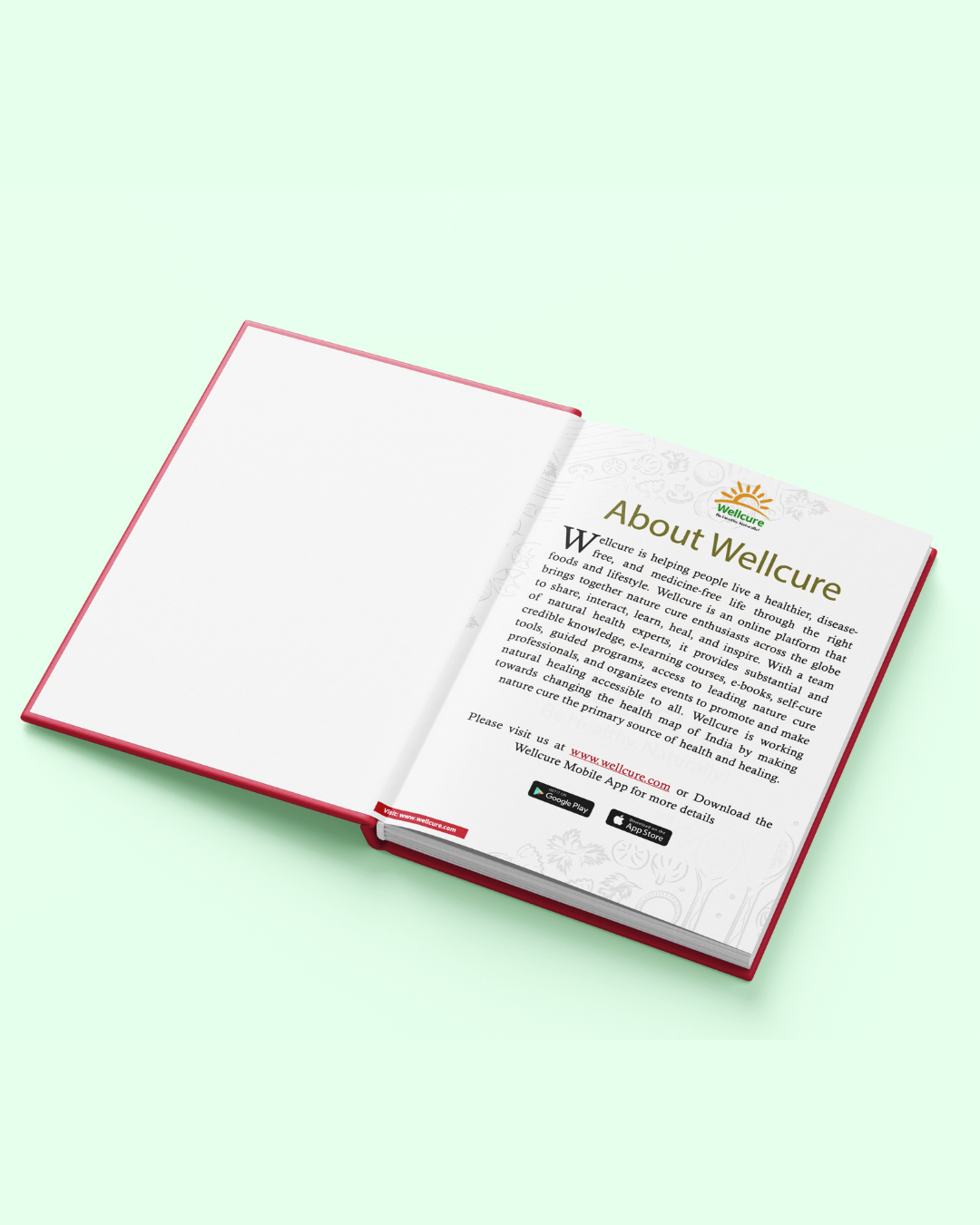 The Healing Sprouts & Salads Recipe Book - Image 3