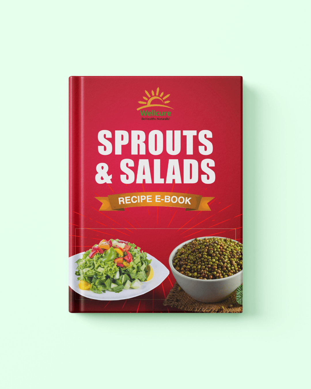 The Healing Sprouts & Salads Recipe Book