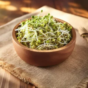 Grow Protein-packed Sprouts at Home