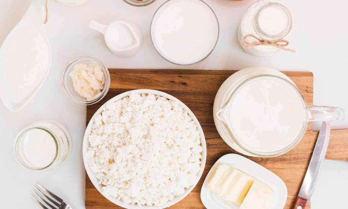 plant-based-dairy-alternatives-workshop.jpg