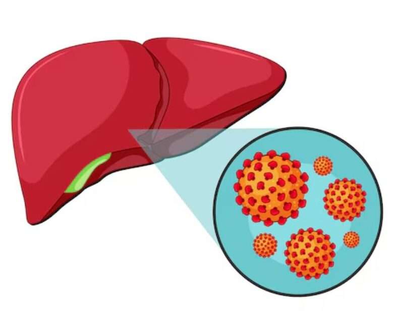 Heal Hepatitis Naturally Webinar
