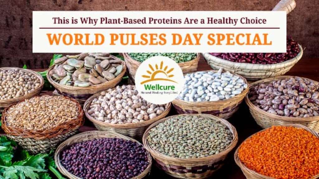 this is why plant based proteins are a healthy choice