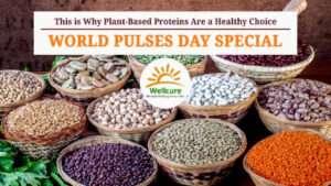 this is why plant based proteins are a healthy choice