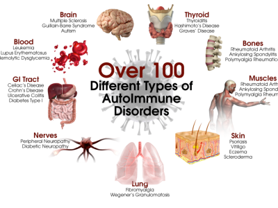 5857471efe2f30a74fb4d41b_Autoimmune-Diseases